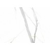 Sienų danga WALL SPC CALACATTA WHITE VILO 120X60